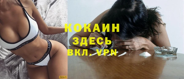 мет Елизово