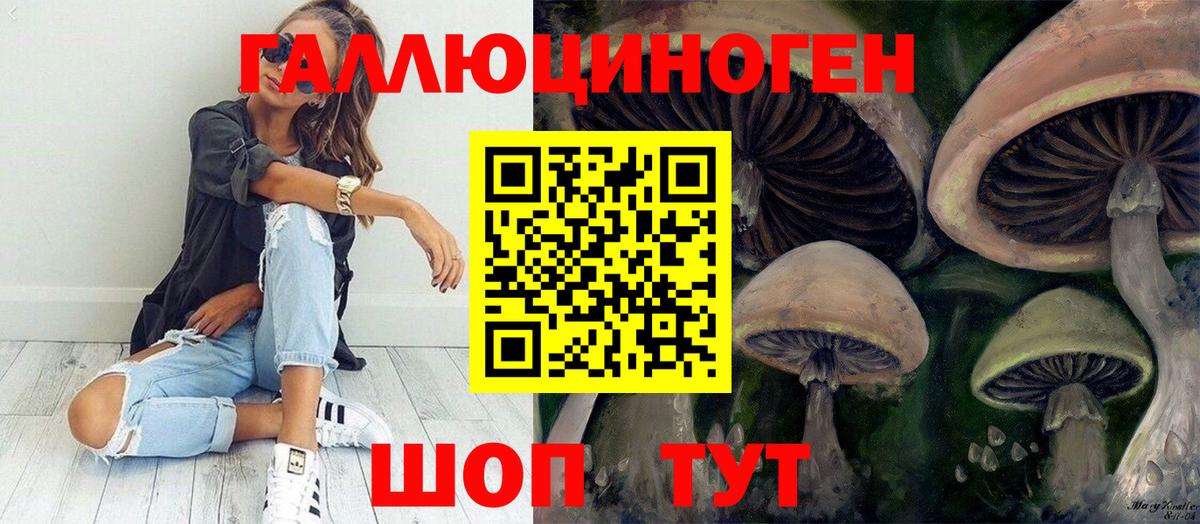 Псилоцибиновые грибы прущие грибы  Псилоцибиновые грибы Psilocybine cubensis  Вход с VPN  Одинцово 